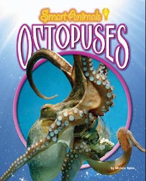 Octopuses