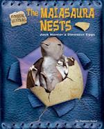 The Maiasaura Nests