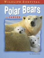 Polar Bears in Danger