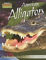 American Alligators