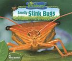 Smelly Stink Bugs