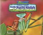 Deadly Praying Mantises