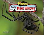 Deadly Black Widows