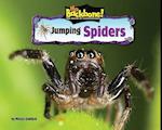 Jumping Spiders