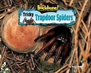 Tricky Trapdoor Spiders