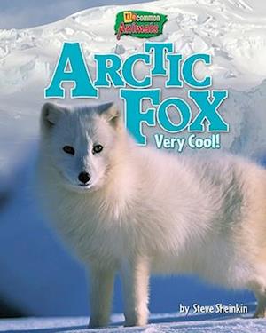 Arctic Fox