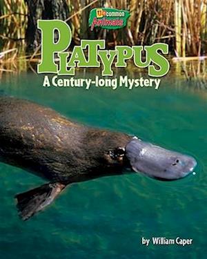 Platypus