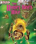 The Honey Bee's Hive