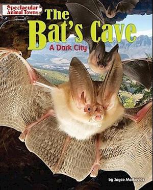 The Bat's Cave