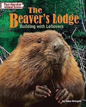 The Beaver's Lodge