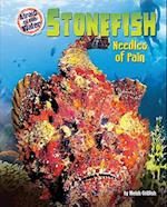 Stonefish