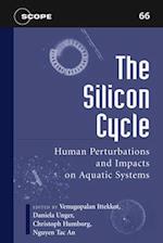 The Silicon Cycle