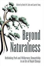 Beyond Naturalness