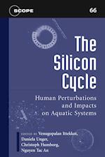 Silicon Cycle