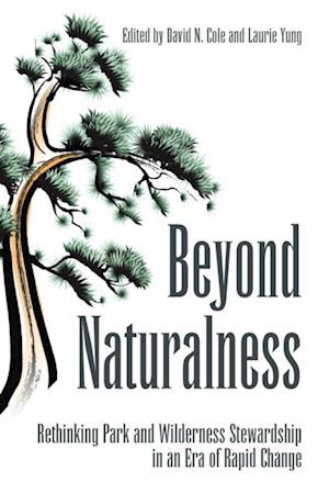 Beyond Naturalness