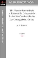 The Wonder That Was India