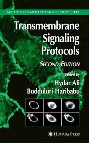 Transmembrane Signaling Protocols