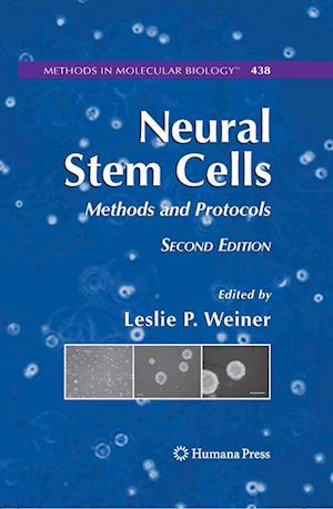 Neural Stem Cells