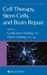 Cell Therapy, Stem Cells and Brain Repair