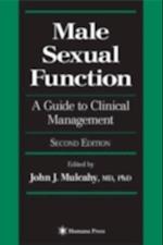 Male Sexual Function