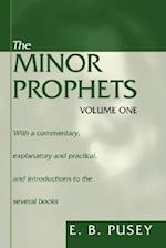 The Minor Prophets, 2 Volumes