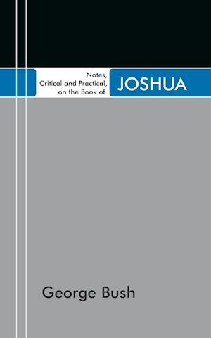 Notes, Critical and Practical, on the Book of Joshua