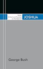 Notes, Critical and Practical, on the Book of Joshua