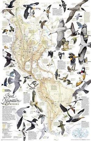 Maps, N:  Bird Migration, Western Hemisphere, Tubed