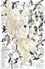 Maps, N:  Bird Migration, Western Hemisphere, Tubed