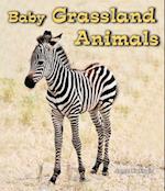 Baby Grassland Animals