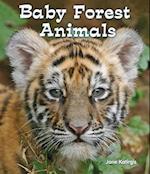 Baby Forest Animals