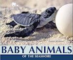 Baby Animals of the Seashore
