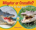 Alligator or Crocodile?