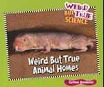 Weird But True Animal Homes
