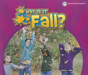 Why Is It Fall?