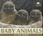 Baby Animals of the Desert