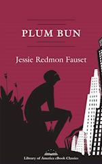 Plum Bun: A Novel Without a Moral