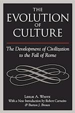 The Evolution of Culture