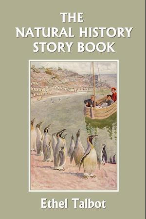 The Natural History Story Book (Yesterday's Classics)