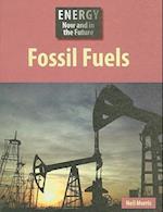 Fossil Fuels