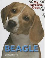 Beagle