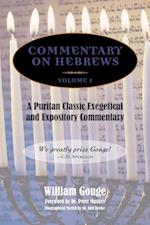 COMMENTARY ON HEBREWS