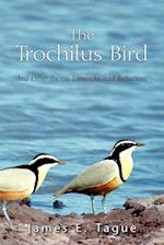 The Trochilus Bird