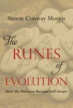 The Runes of Evolution : How the Universe became Self-Aware