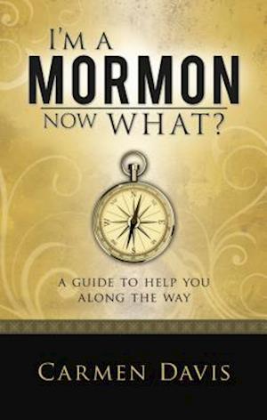 I'm a Mormon, Now What?