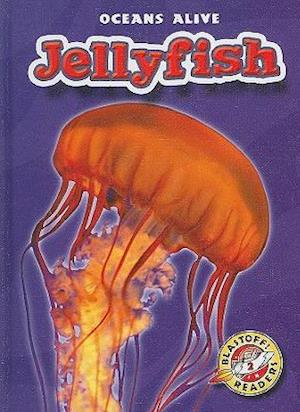 Jellyfish