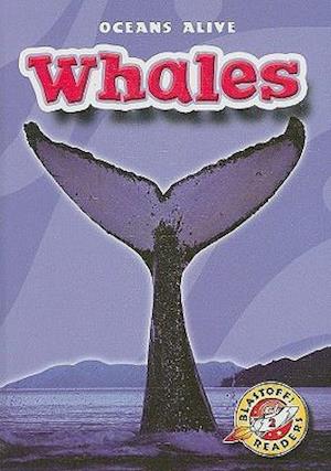 Whales