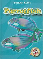 Parrotfish