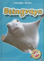 Stingrays