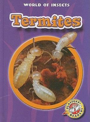 Termites